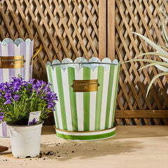 Grass Green Stripe Pots & Saucers, Set of 3
