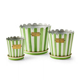Courtly Stripe Pots & Saucers, Set of 3