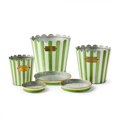 Violet Stripe Pots & Saucers, Set of 3
